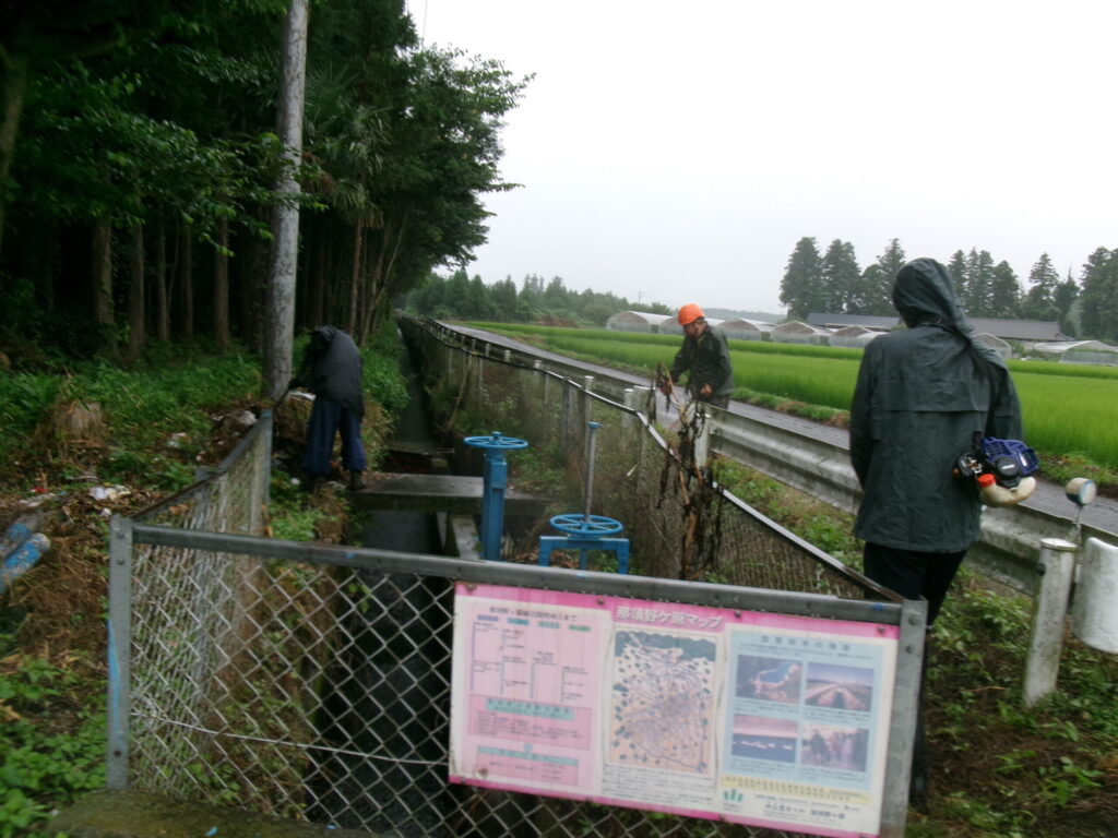 分水ゲート付近の草刈り