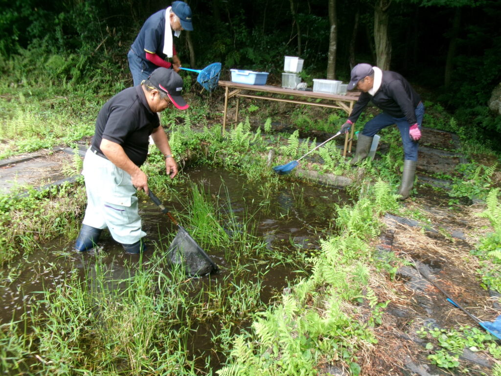 生き物調査