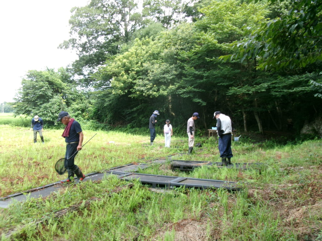 生き物調査