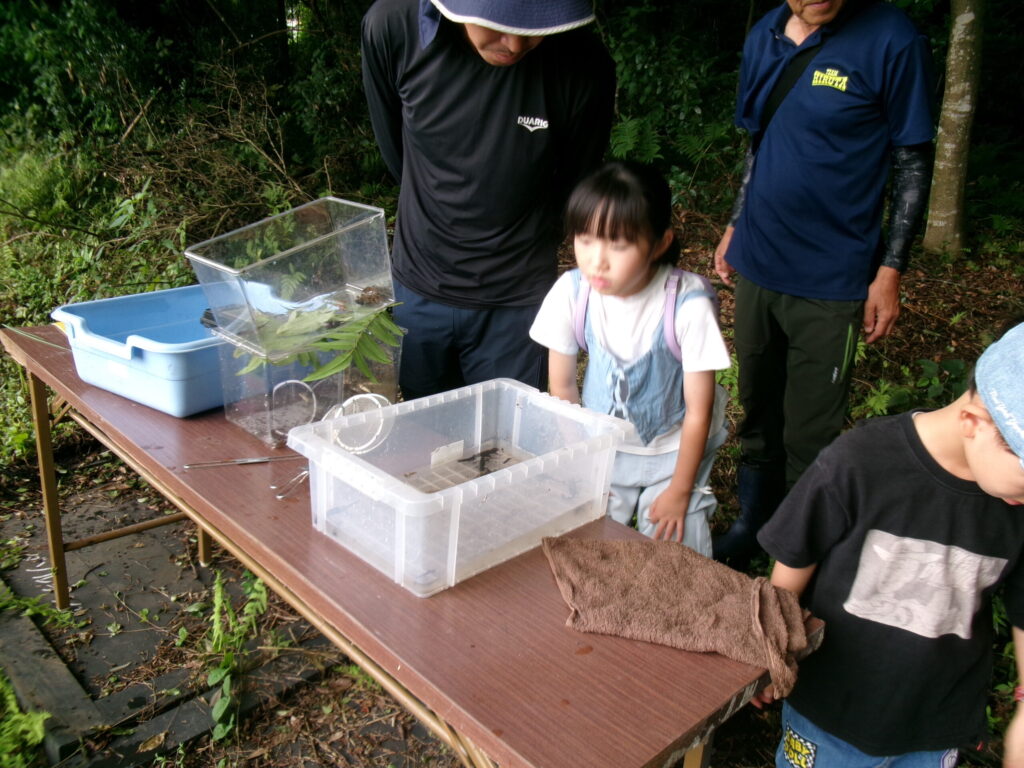 生き物調査