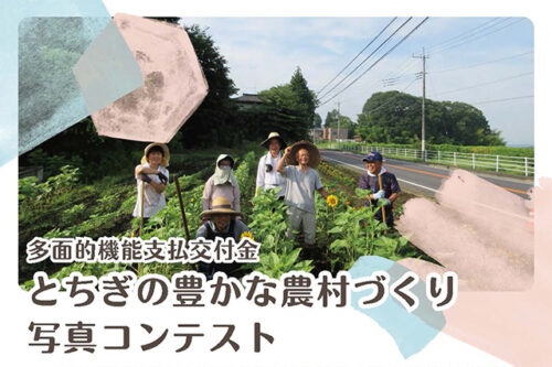 2025picturecontest_thum