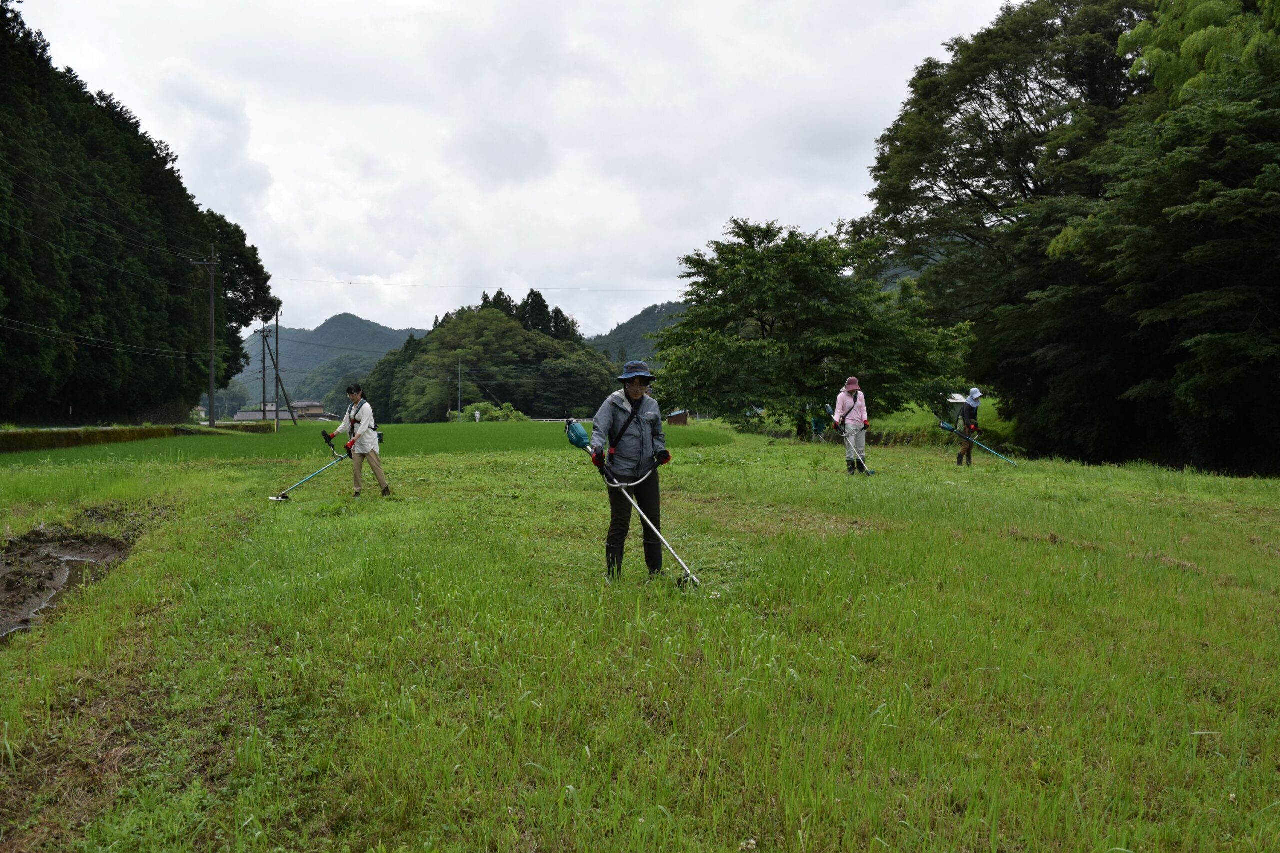 農地の草刈りを一緒にやりませんか？