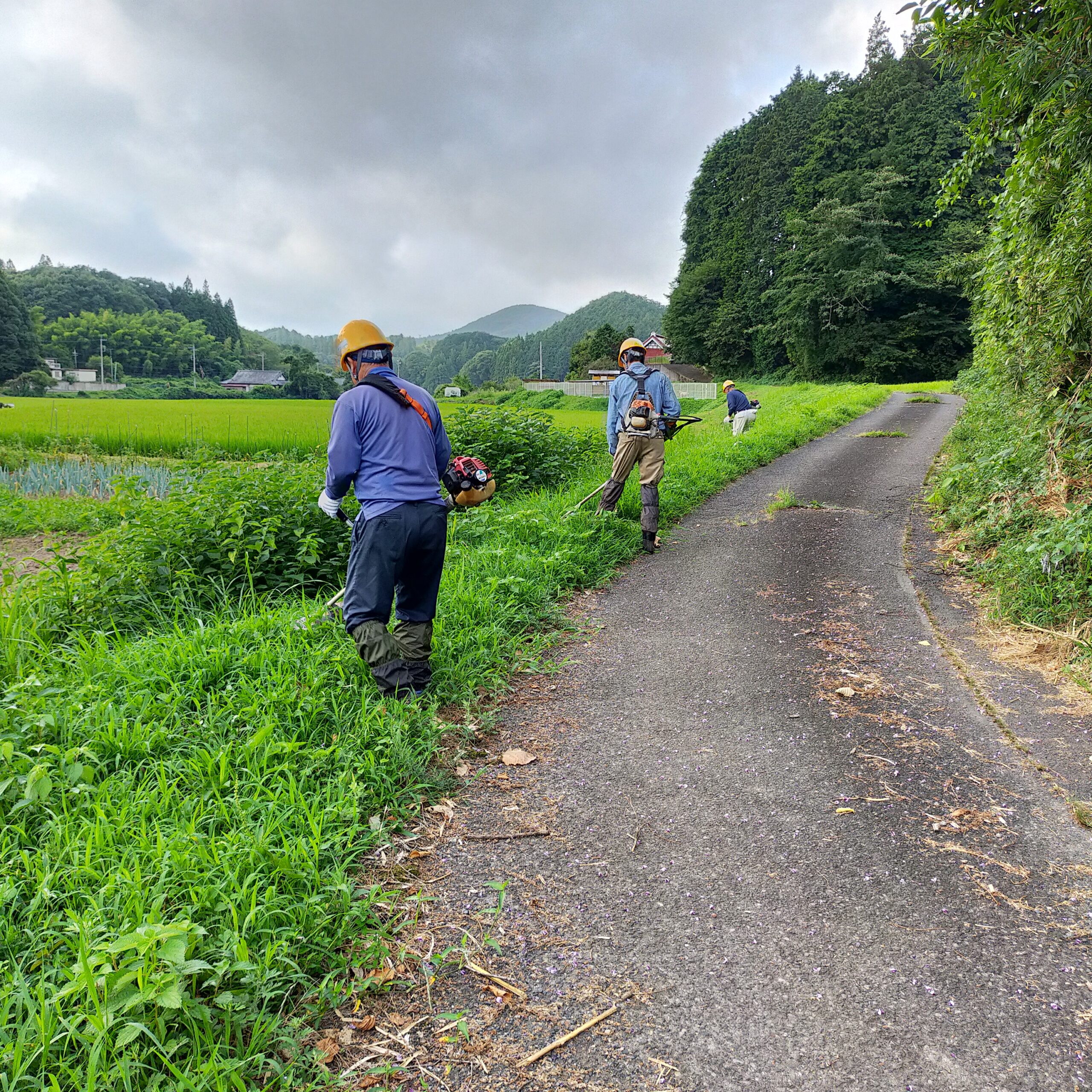 農地の草刈りで里山を支えてませんか？